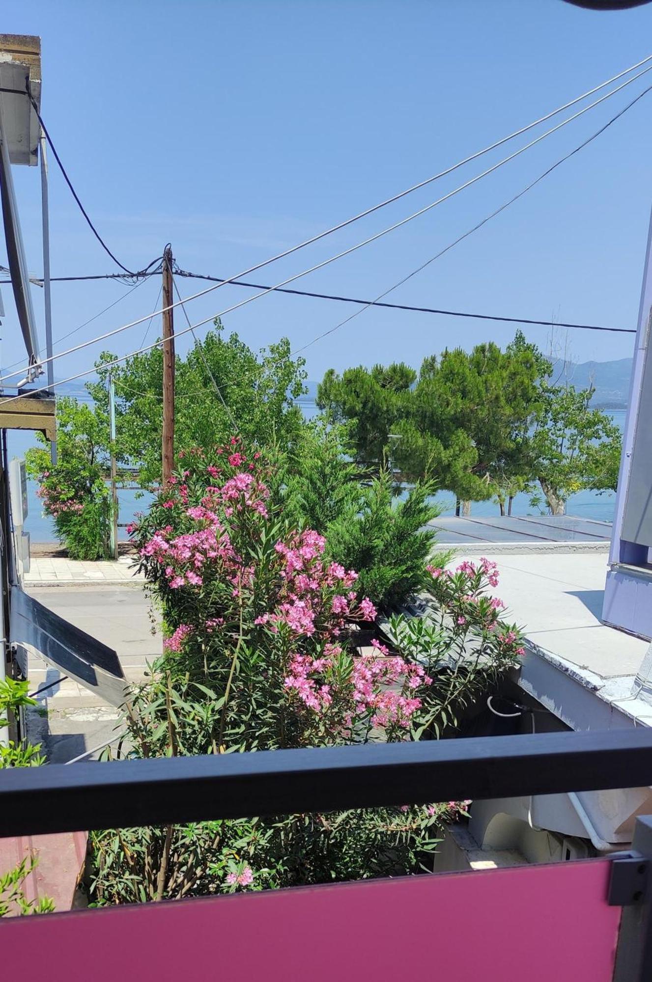 Okeania Seafront Rooms In กาเมนาวูร์ลา ภายนอก รูปภาพ